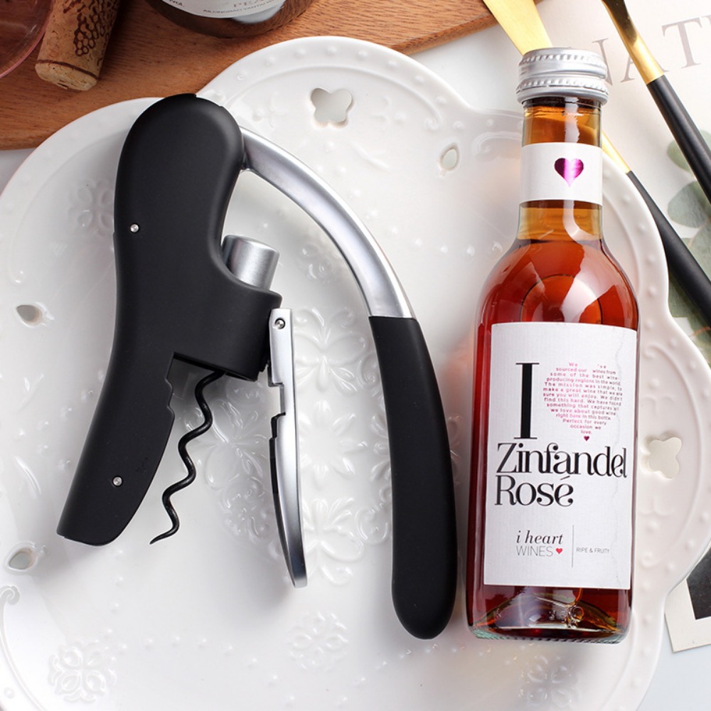Ouvre-bouteille de bière profe - Wine In Beer Bottle avis et prix