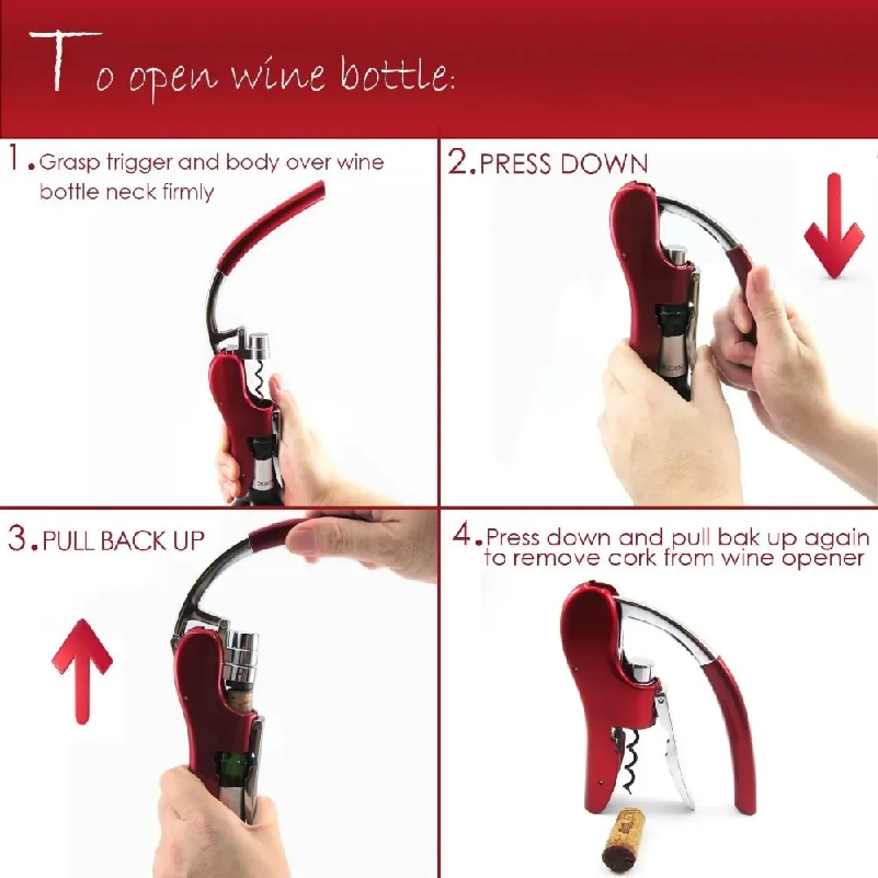 Ouvre-bouteille professionnel  - Wine In Beer Bottle avis et prix